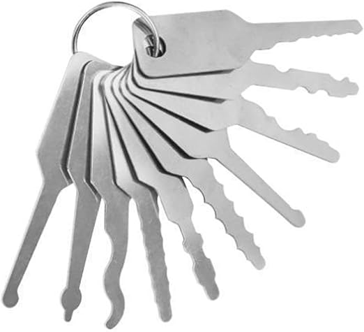 Mrchrogge 10PCS Master Keys Stainless Steel Set Shapes Lock Picking Tool