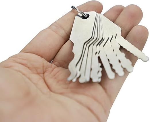 Mrchrogge 10PCS Master Keys Stainless Steel Set Shapes Lock Picking Tool