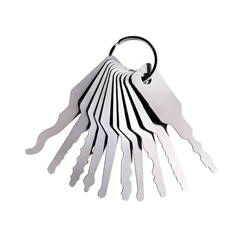 Mrchrogge 10PCS Master Keys Stainless Steel Set Shapes Lock Picking Tool